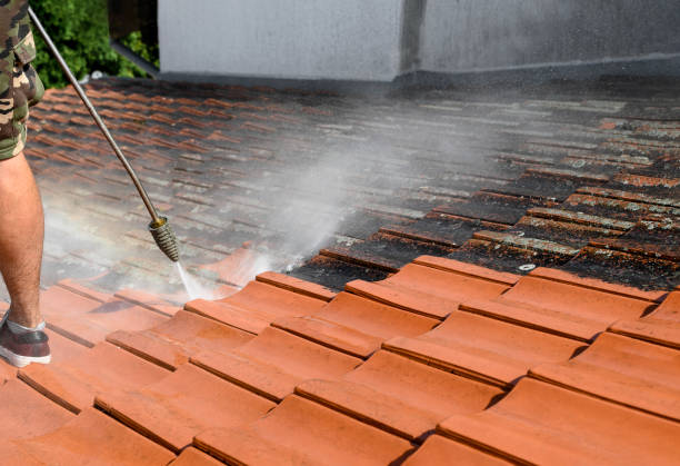 Best Sidewalk Pressure Washing  in West Haven, CT